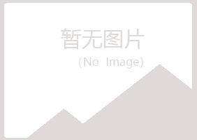 龙江县夏岚批发有限公司